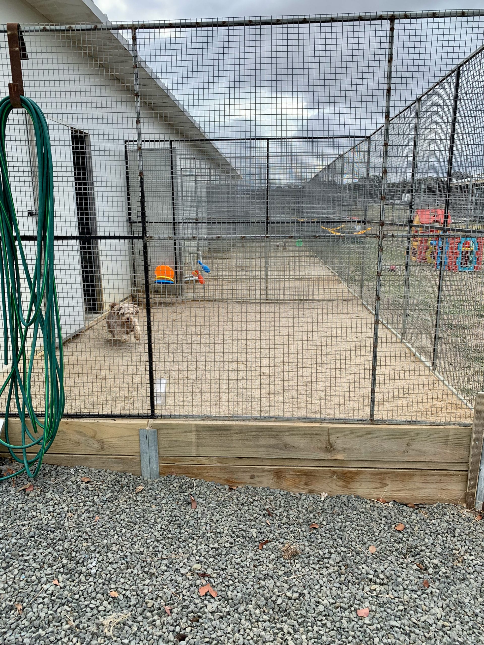 Stonehaven Park Puppies Facilities
